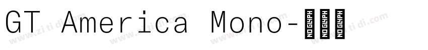 GT America Mono字体转换